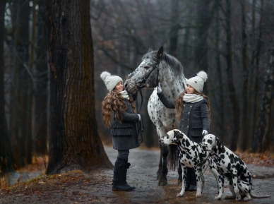 말과 소녀와 달마시안.