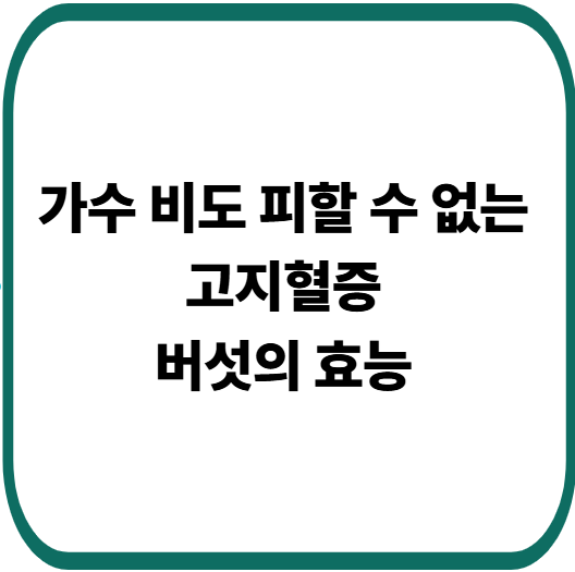 버섯이 콜레스테롤 낮추는 과학적 효능