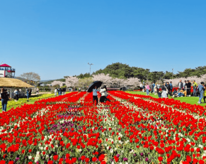 송파구 건강검진