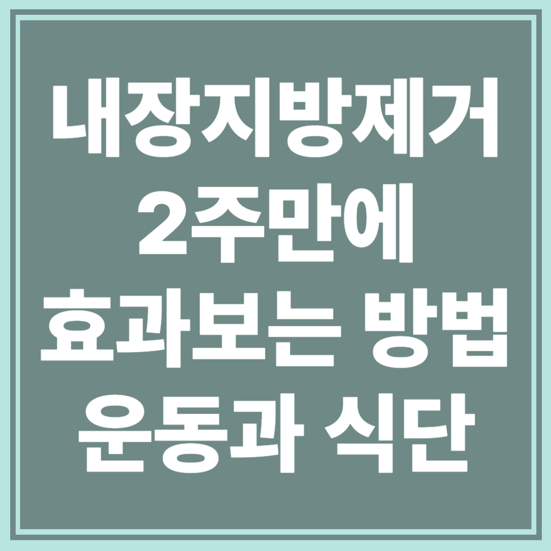 내장 지방 제거 운동과 식단 : 초보자도 2주 안에 효과 보는 방법