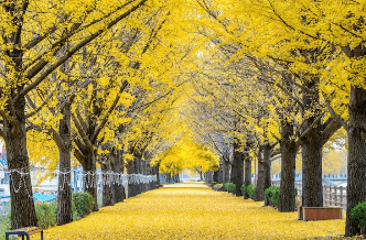 2023λ
λ¨νμκΈ° μμΈ‘μ§λ