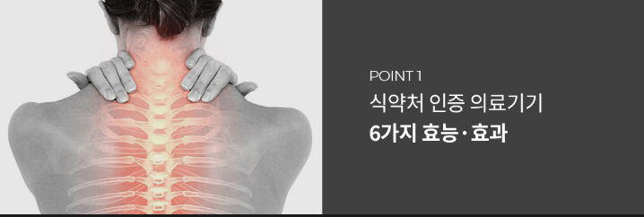 세라젬 효능1