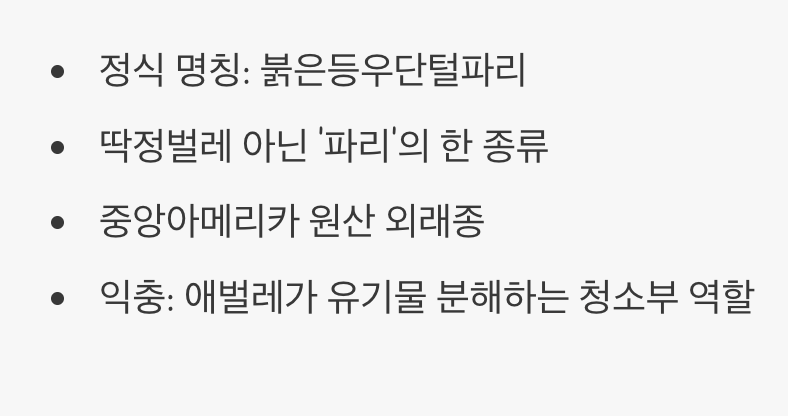 이 불청객의 진짜 정체