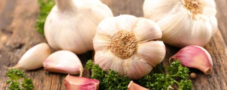 콩팥에 좋은 음식 - 마늘