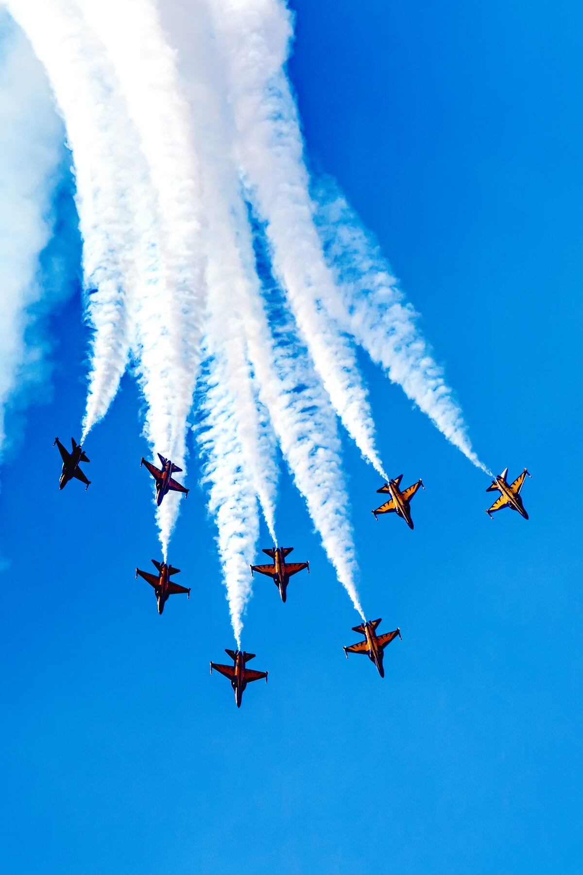 블랙이글스 에어쇼 -14