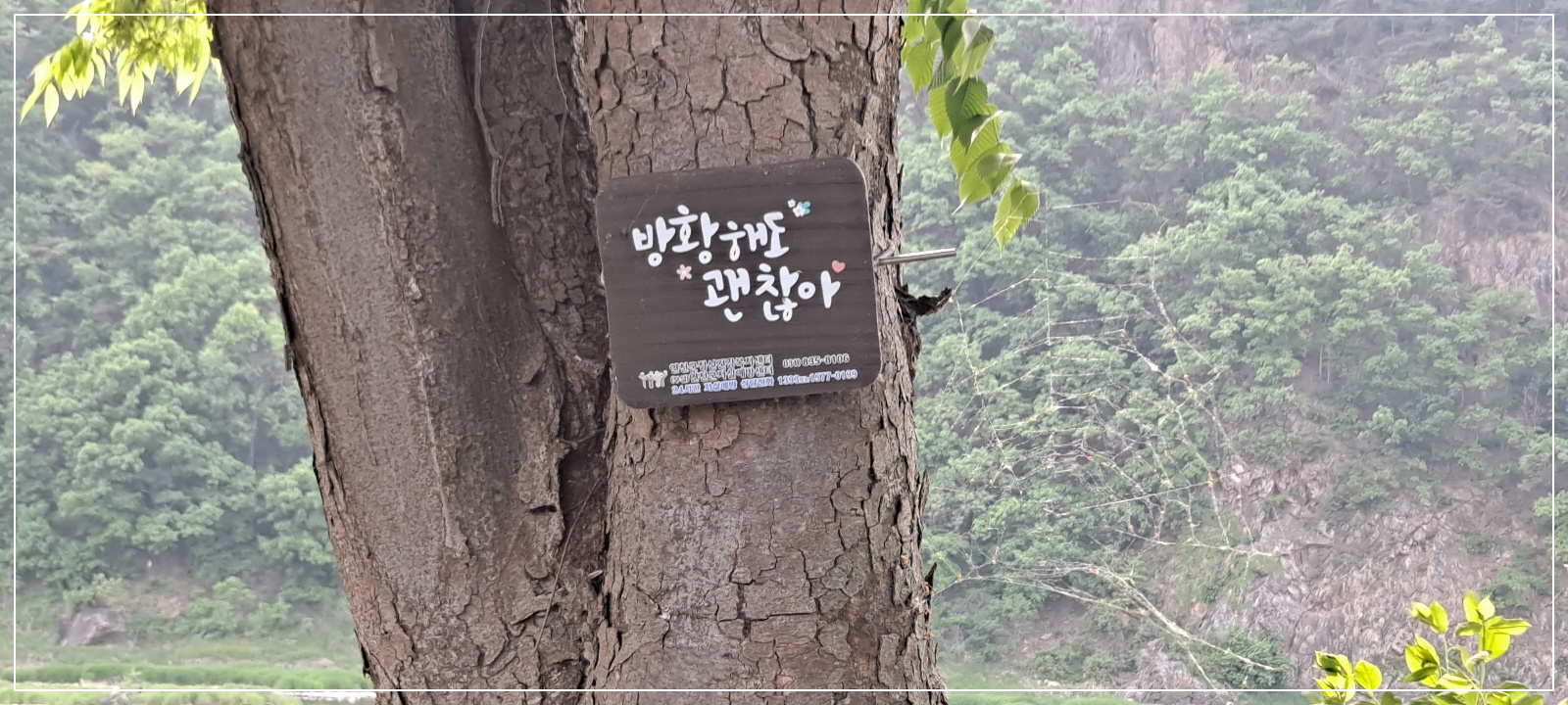 방황해도-괜찮아