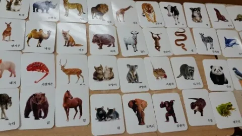 한글자 동물 이름과 두글자 동물 닉네임 정리본_1