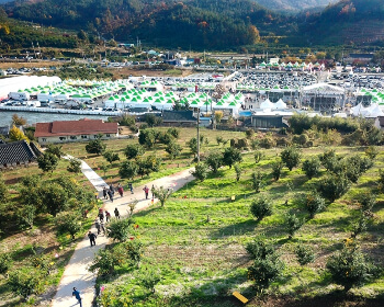 고흥 유자 축제_28