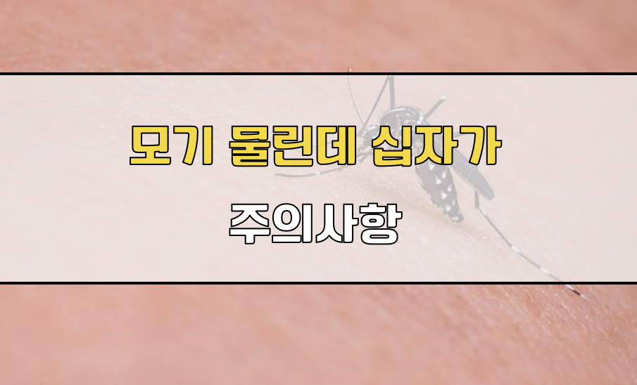 모기 물린데