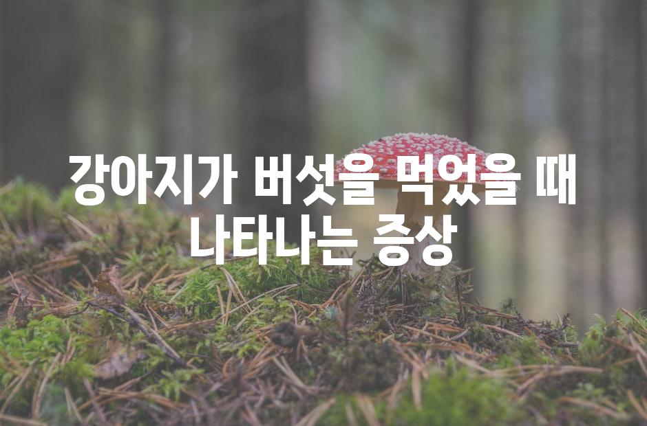 강아지가 버섯을 먹었을 때 나타나는 증상