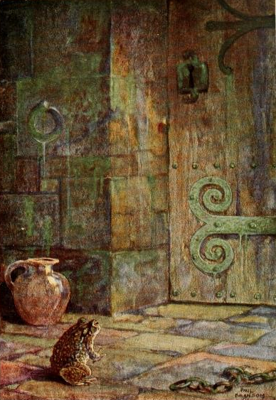 버드나무에-부는-바람-두꺼비-씨