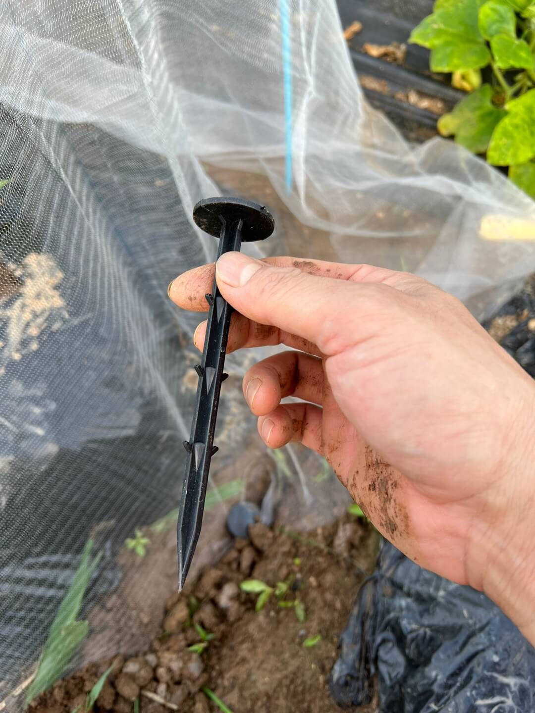 한랭사 고정 못 