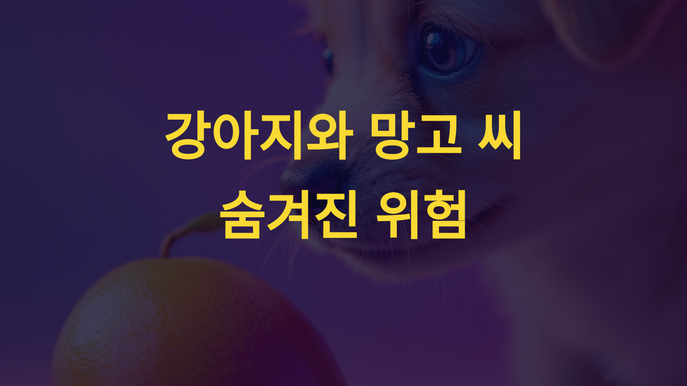 강아지가 망고 씨를 먹으면 위험한 이유