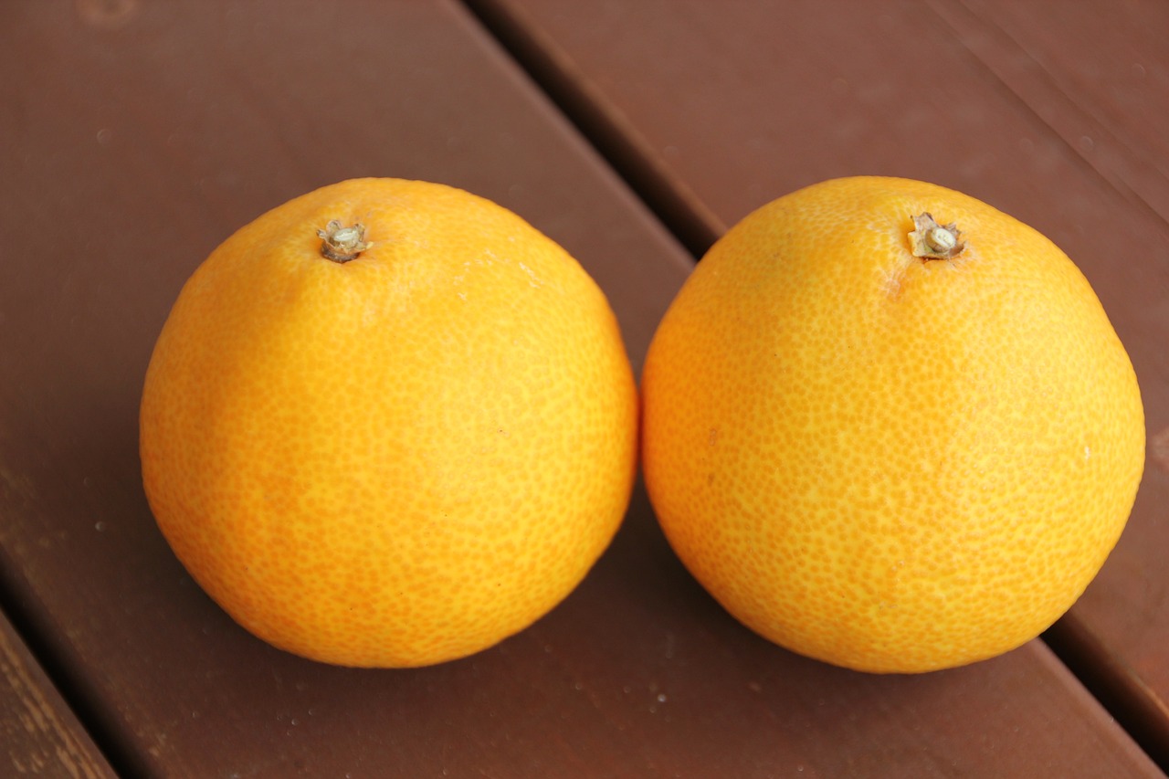 과일 천혜향 사진