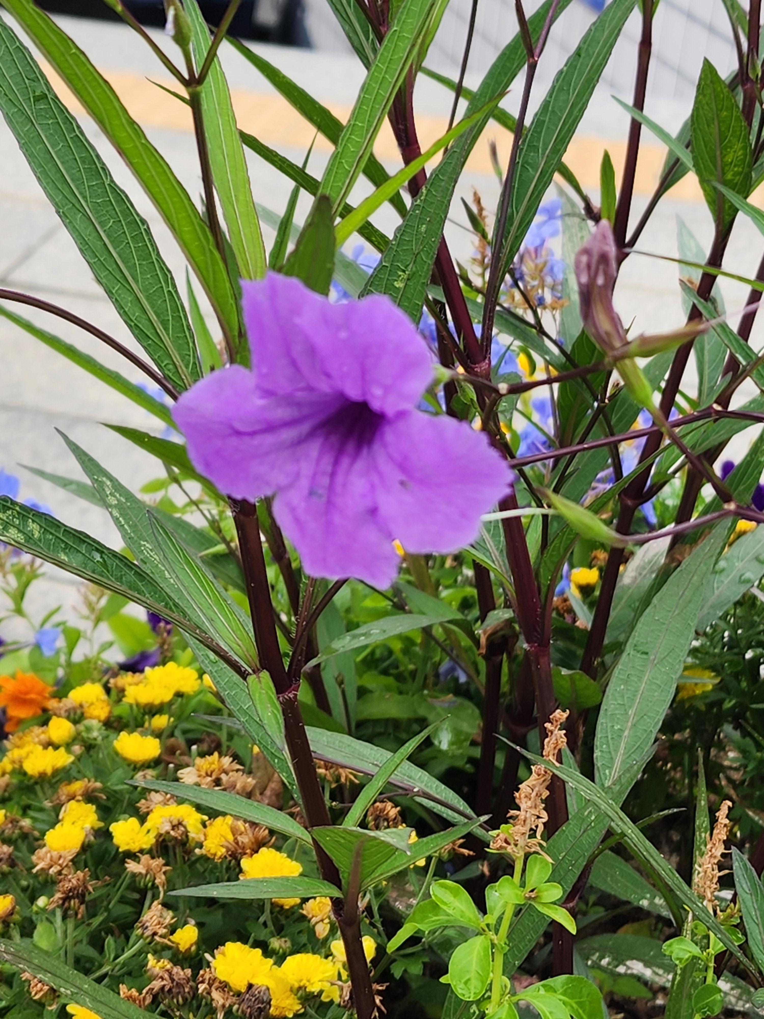 Alt 속성 문제 해결 설명 이미지