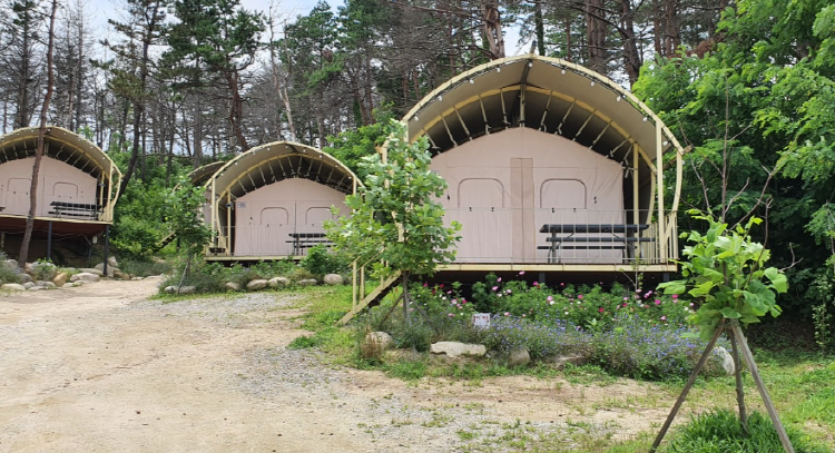 속초 밤하늘글램핑