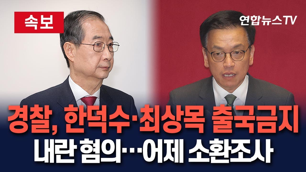 한덕수 최상목 출국금지 내란 혐의