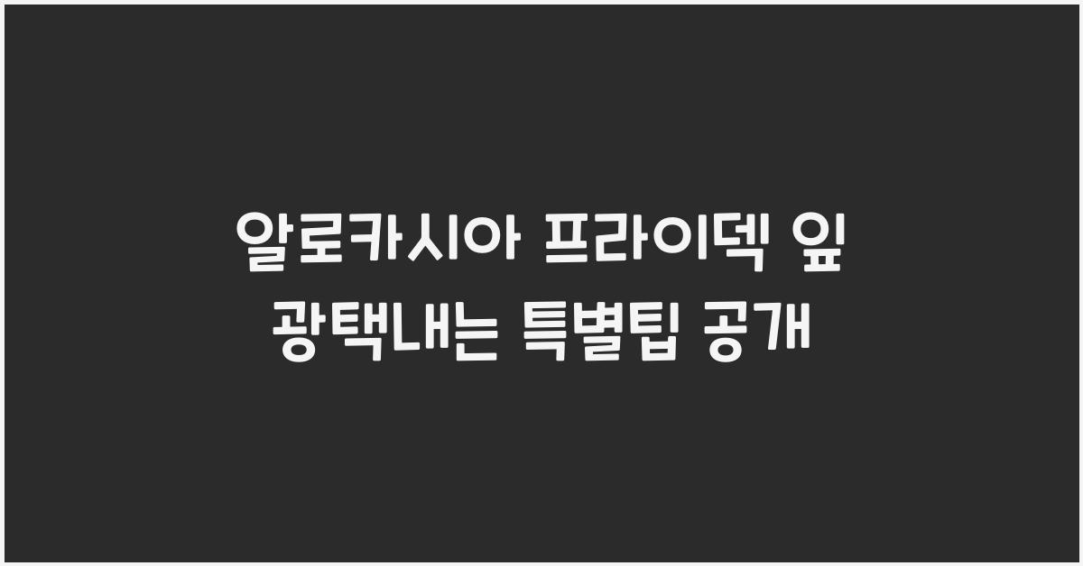 알로카시아 프라이덱 잎 광택내는 특별팁