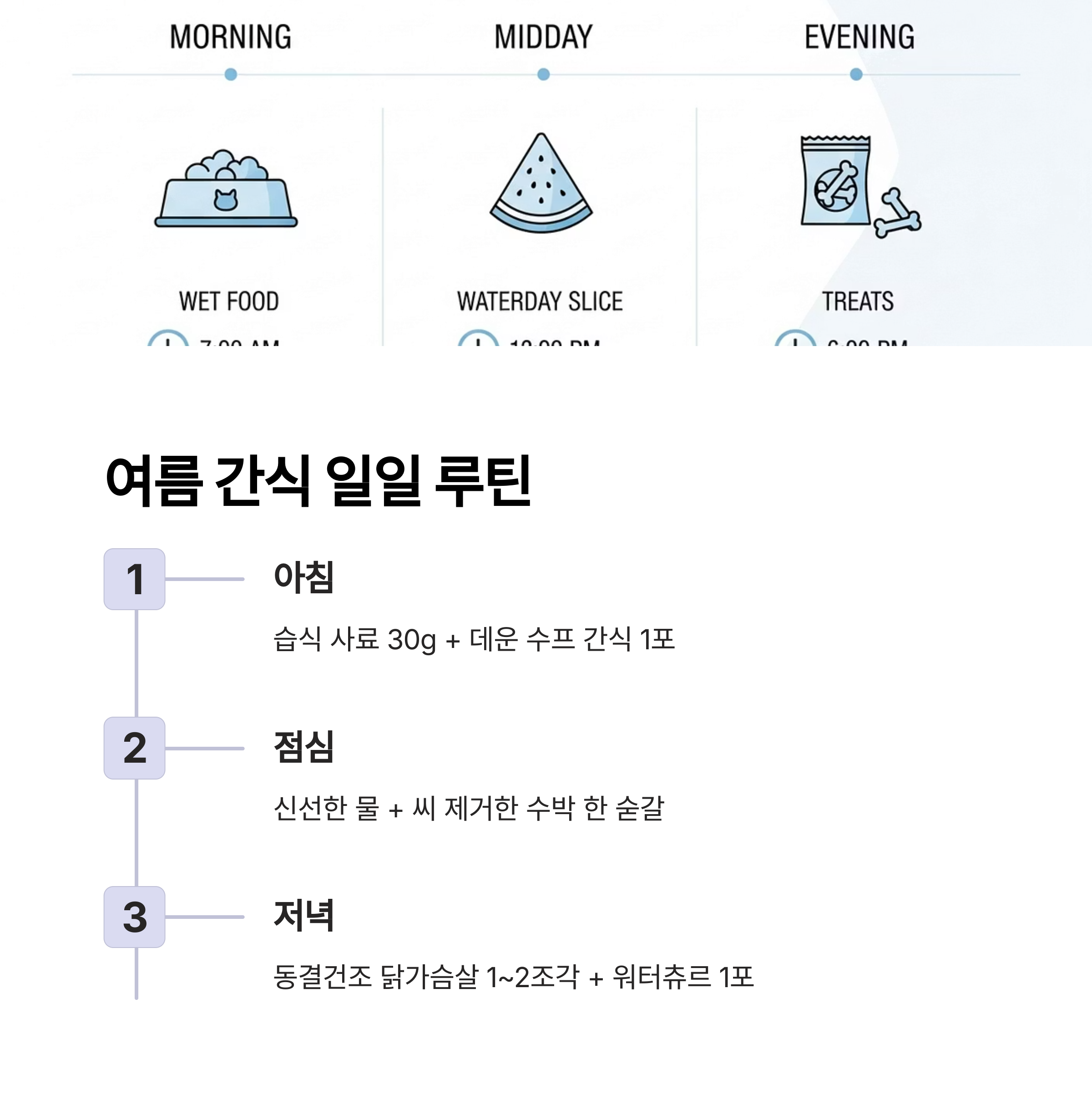 여름 간식 일일 루틴