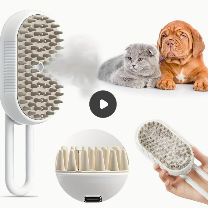 3-in-1 충전식 고양이 스팀 브러시