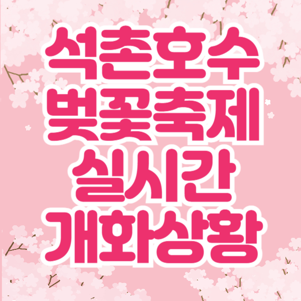석촌호수 벚꽃 축제