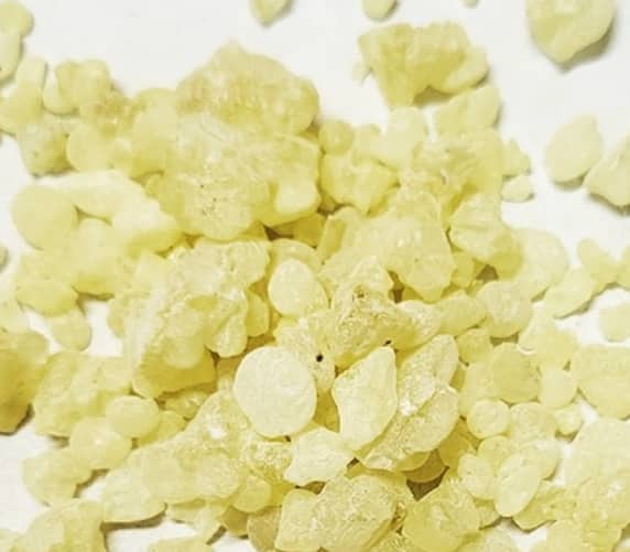 매스틱 효능 완벽 정리 - 위 건강과 면역력 개선의 천연 해답