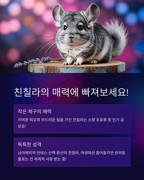 친칠라의 매력에 빠져보세요