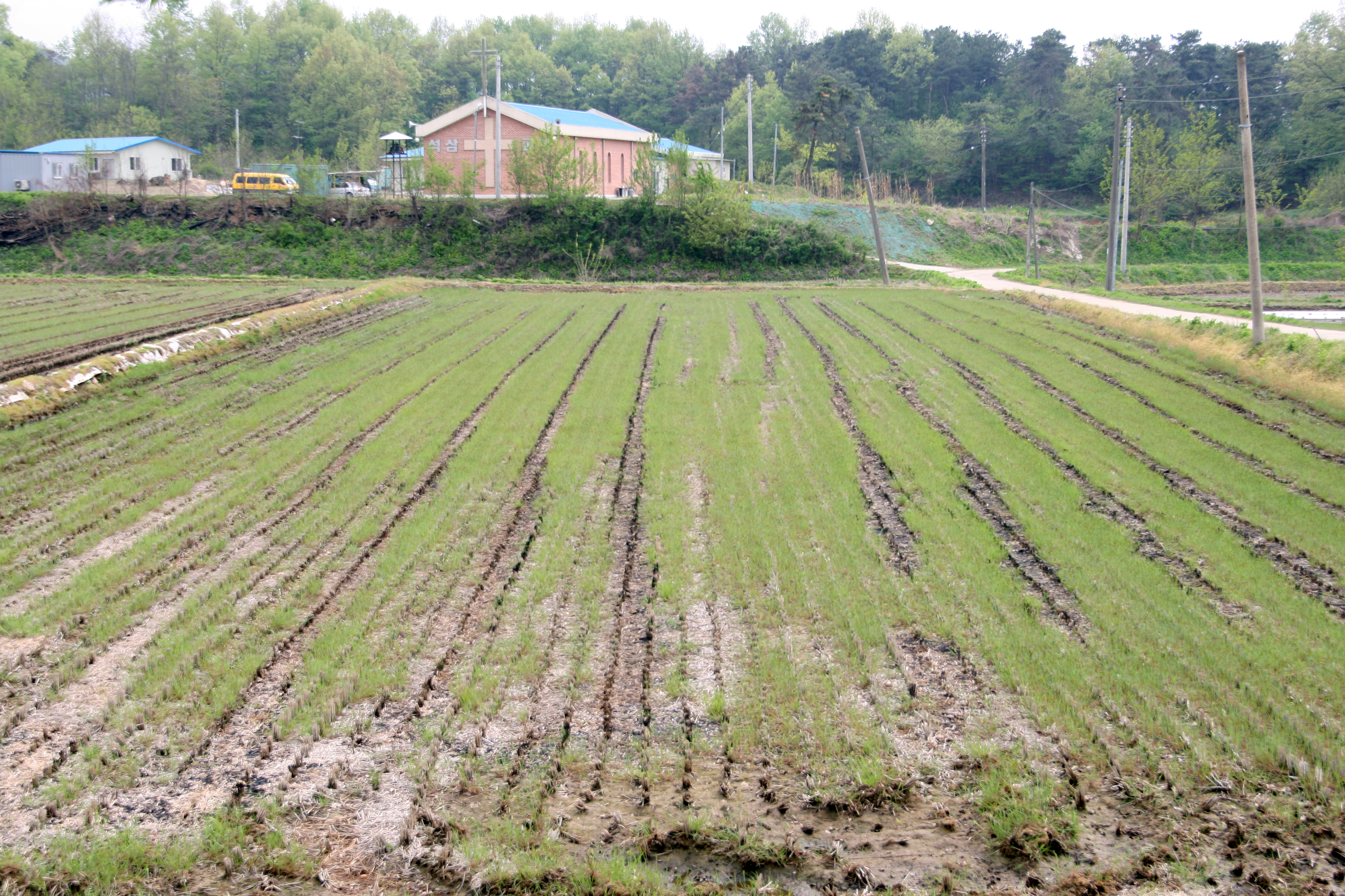 Proposed Solar Installation Site