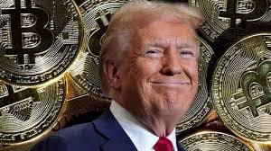 트럼프 미국 관련주