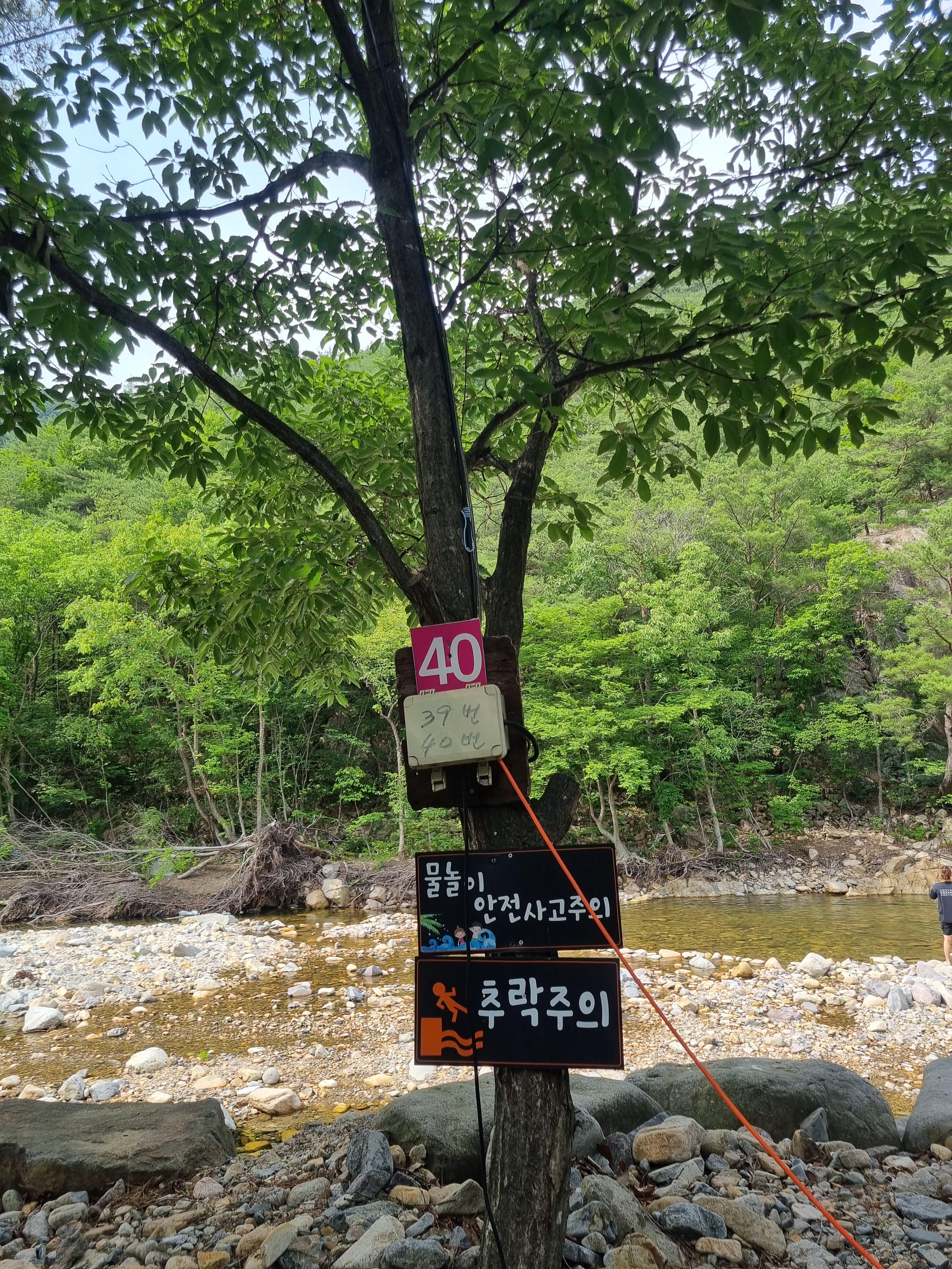 둥지펜션캠핑장