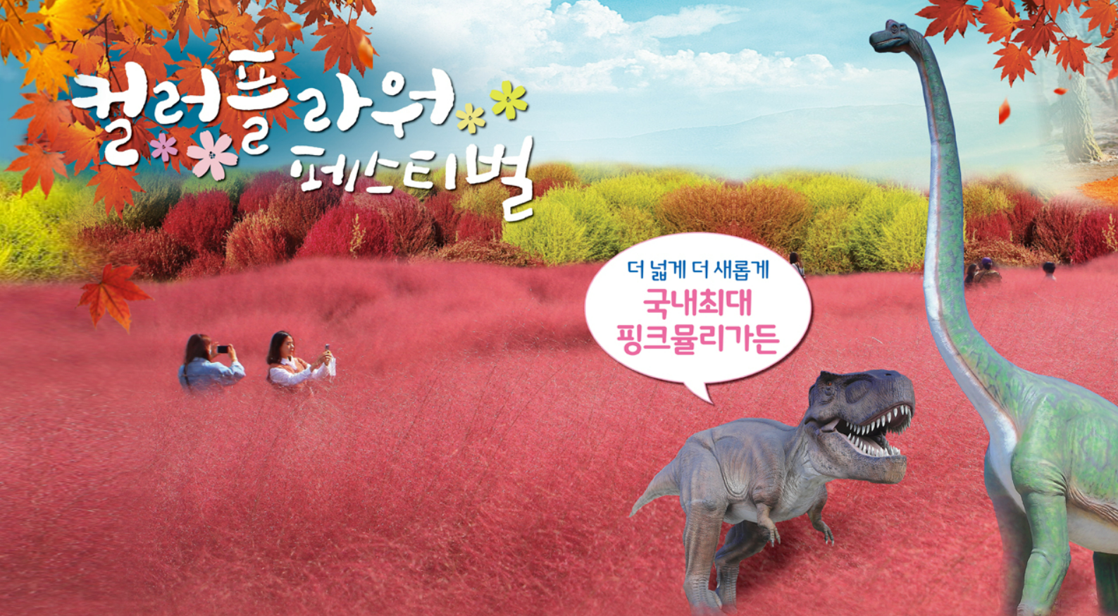 2024 핑크뮬리 축제와 개화시기, 명소 추천 Best 10