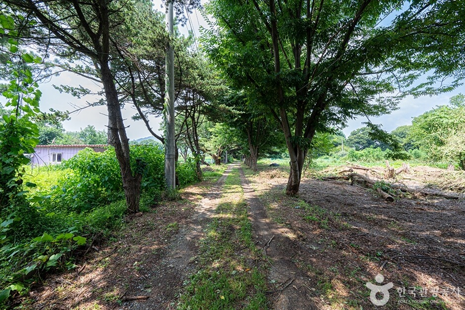 평택 가볼만한곳 베스트 10