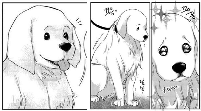 비의도적연애담-팥죽이