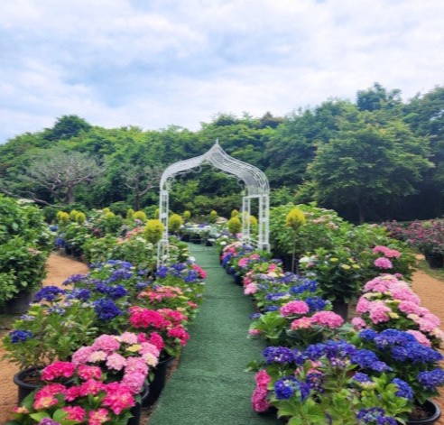 율봄식물원 방문 정보