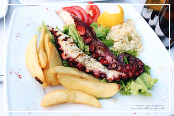 문어의 영양 성분