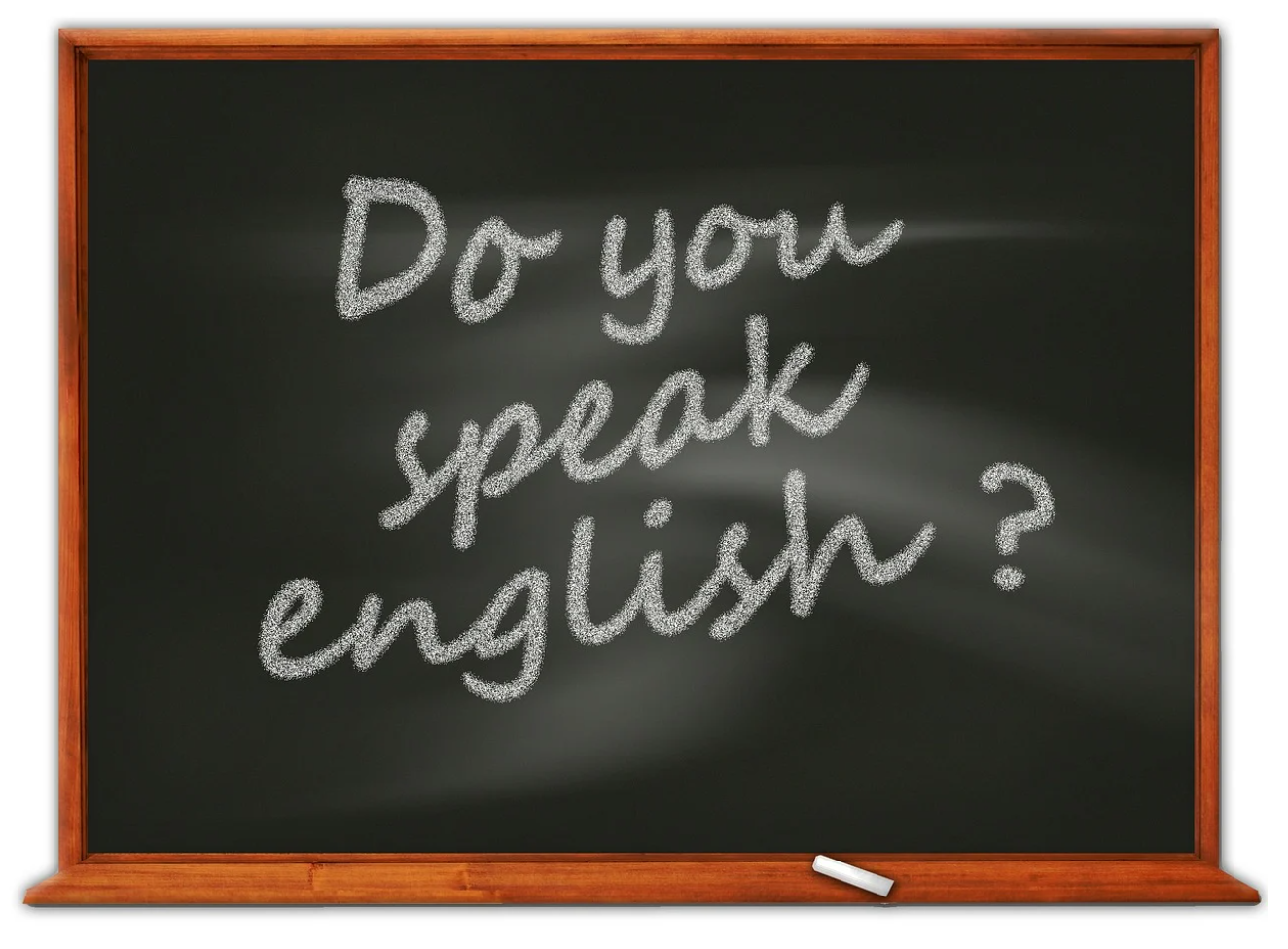 영어 관련 사진