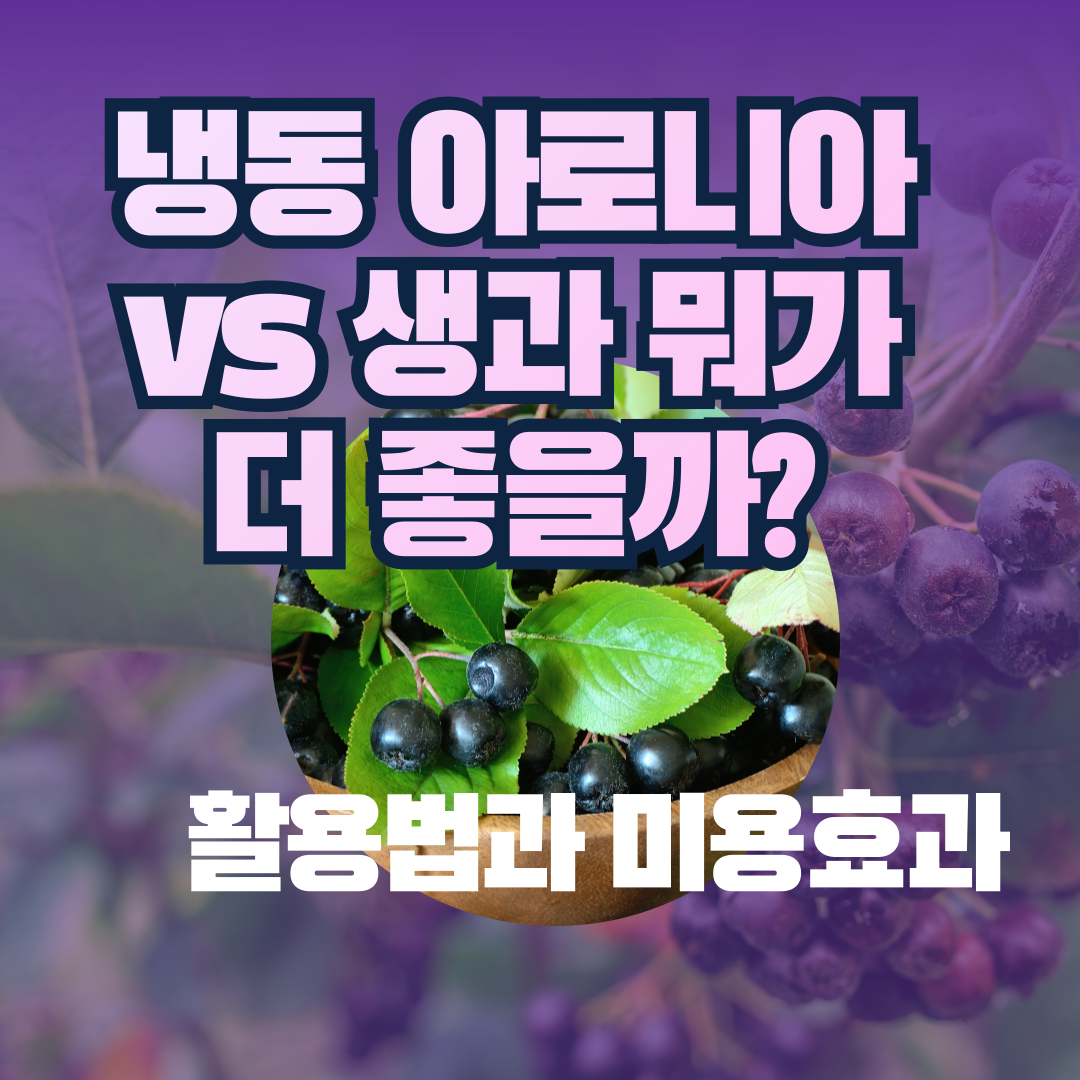 냉동 아로니아 vs 생과 뭐가 더 좋을까? 활용법과 미용효과