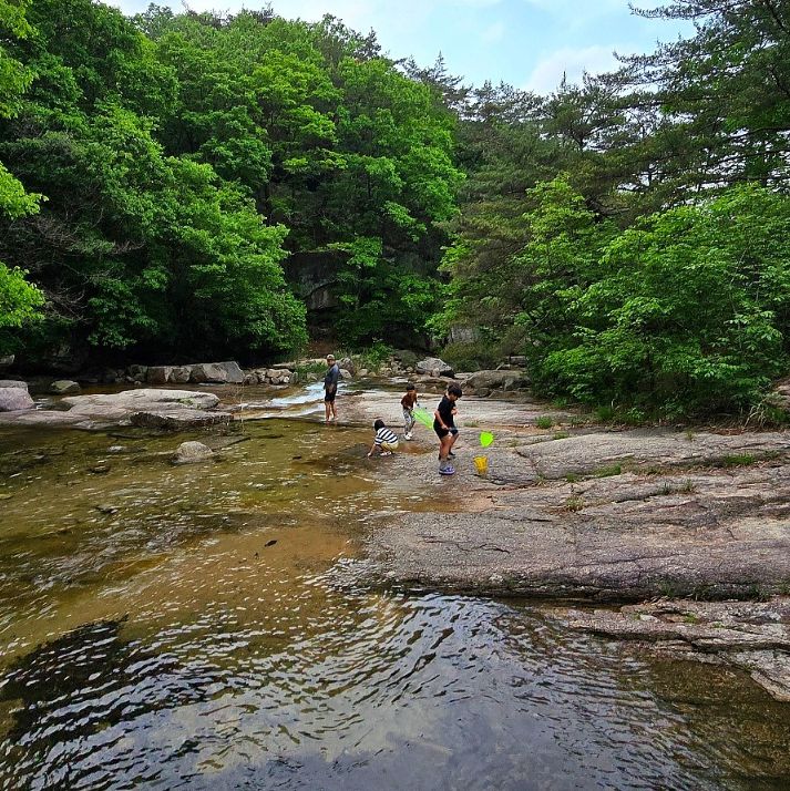 대야산자연휴양림