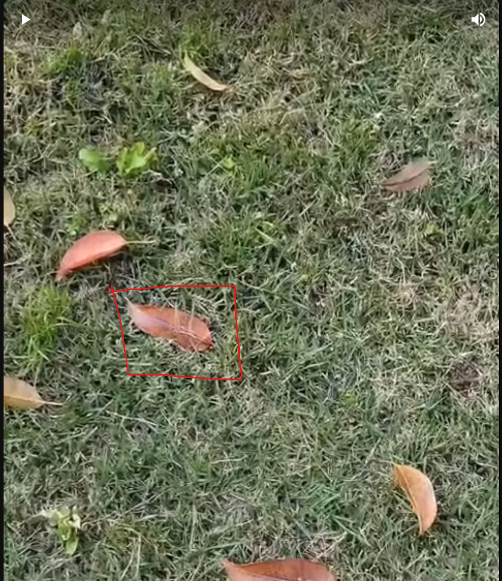 갤럭시 S22 울트라 디스플레이