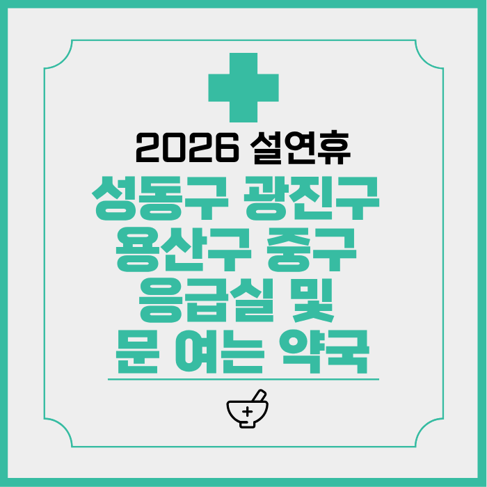 2026 설 연휴 성동구 광진구 용산구 중구 응급실 및 문 여는 약국