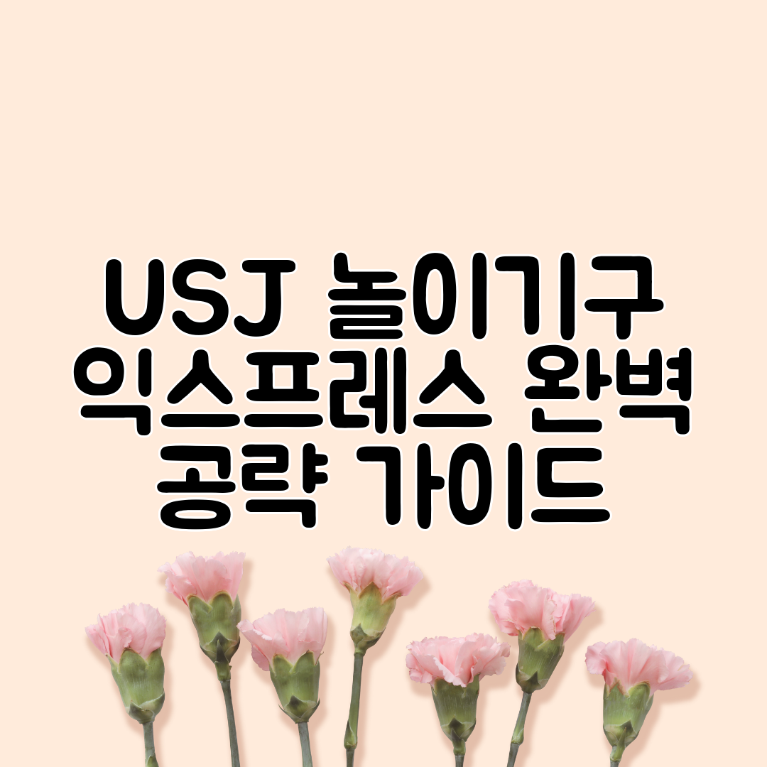 USJ 놀이기구 익스프레스 완벽 공략 가이드