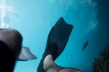 부산 다이빙풀장