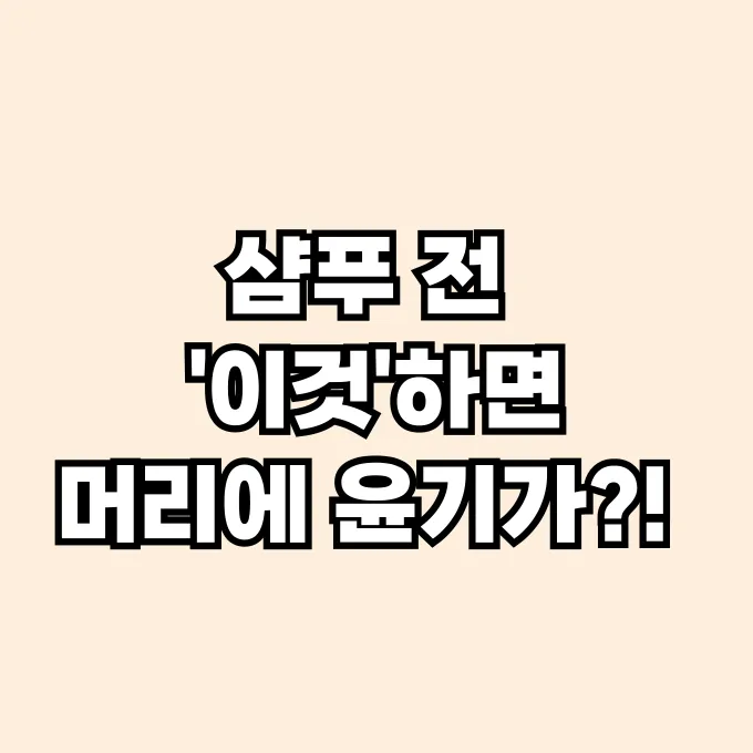 푸석한 머리 윤기