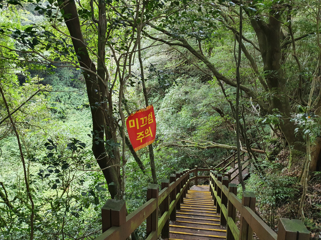 거문오름 수직동굴