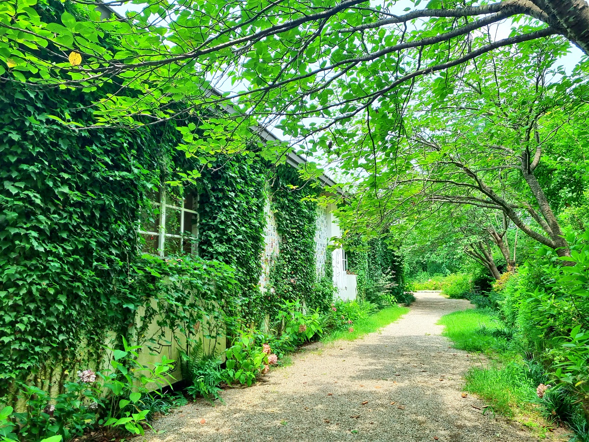 충남 당진 아미미술관: 현대미술, 수국, 야외 조형물, 인스타그램 감성 포토존