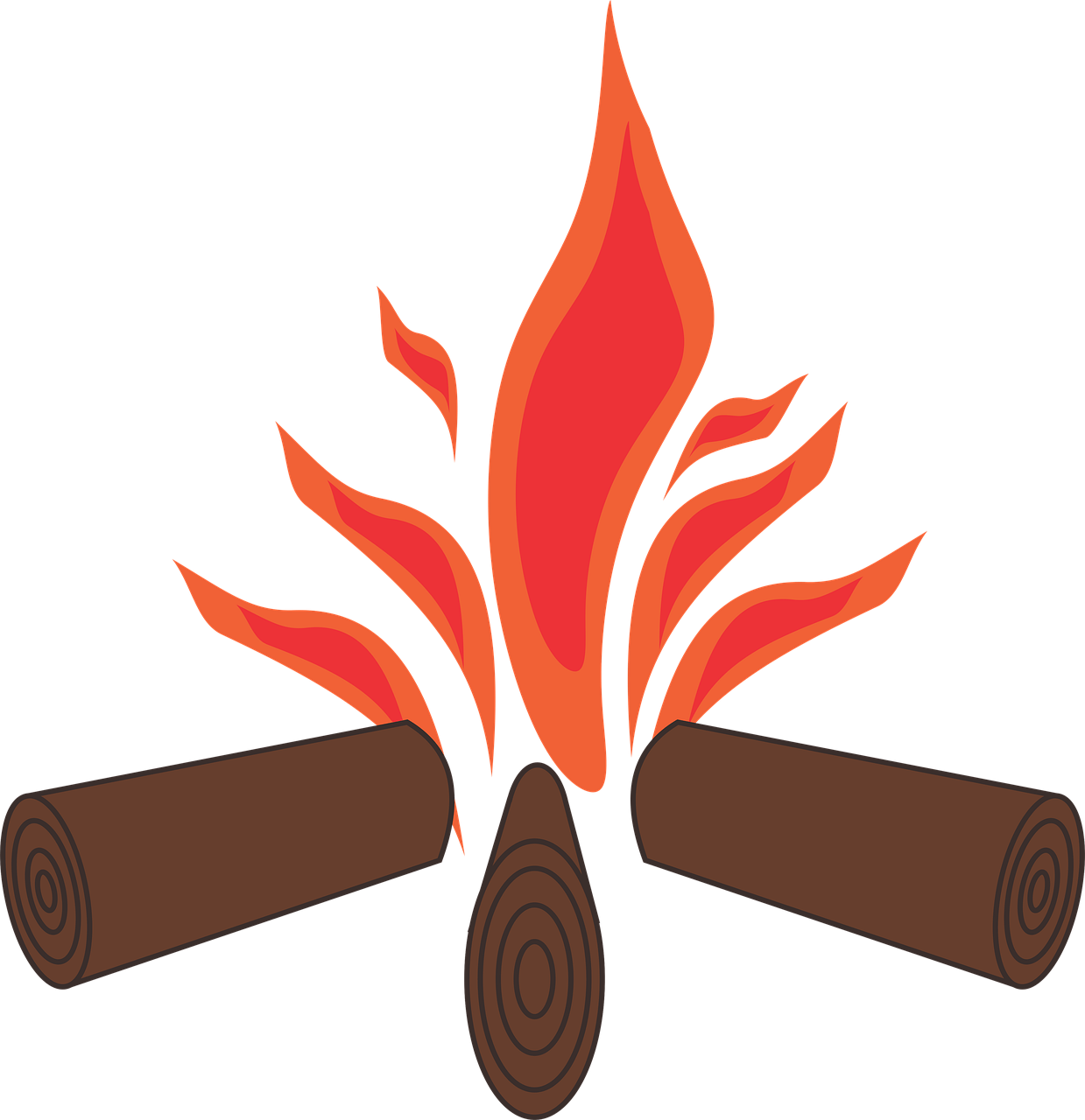 2025 서울 바비큐페스타 총정리 