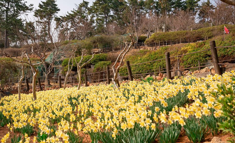양지암 조각공원 