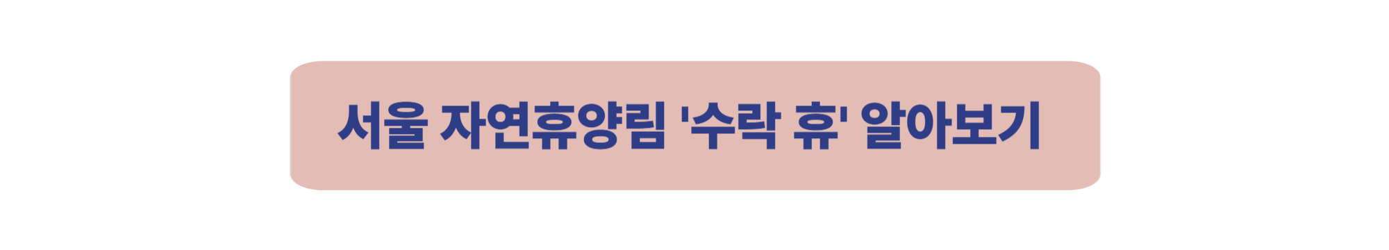 '수락 휴' 자연휴양림