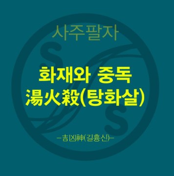 탕화살 관련 사진