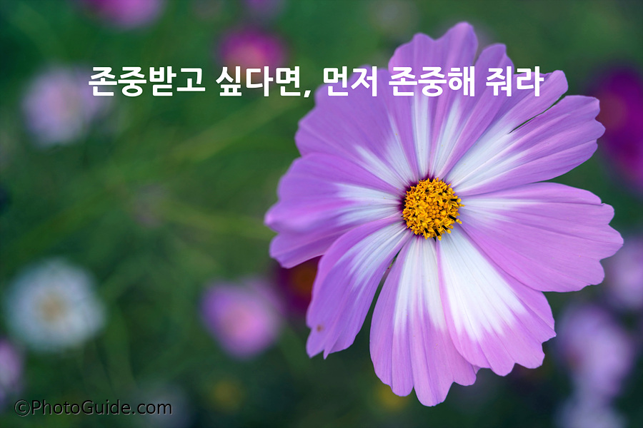 부부십계명-부부10계명